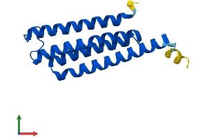 AlphaFold protein structure predicition of Human Recombinant MGST2 Protein, UniprotID Q99735
