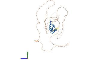 AlphaFold protein structure predicition of Human Recombinant CRNN Protein, UniprotID Q9UBG3