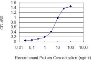 Detection limit for recombinant GST tagged SUMO2 is 0.