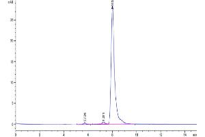 The purity of Human PTH is greater than 95 % as determined by SEC-HPLC. (PTH Protein (AA 32-115) (Fc Tag))