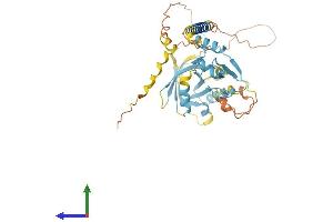 AlphaFold protein structure predicition of Mouse Recombinant Rnf215 Protein, UniprotID Q5SPX3