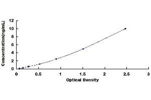 Typical standard curve (MST1 Kit ELISA)