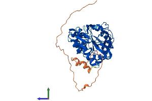 AlphaFold protein structure predicition of Human Recombinant ITPK1 Protein, UniprotID Q13572