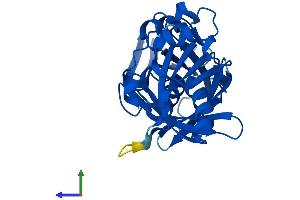 AlphaFold protein structure predicition of Human Recombinant PBLD Protein, UniprotID P30039