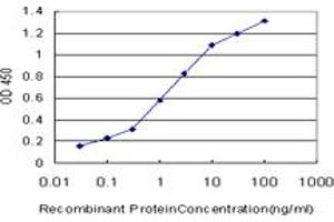 Detection limit for recombinant GST tagged LHX4 is approximately 0. (LHX4 anticorps  (AA 208-306))