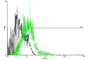 FACS analysis of negative control 293 cells (Black) and CCBP2 expressing 293 cells (Green) using CCBP2 purified MaxPab mouse polyclonal antibody. (CCBP2 anticorps  (AA 1-384))