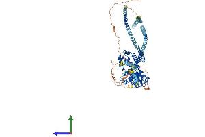 AlphaFold protein structure predicition of Human Recombinant EVI5L Protein, UniprotID Q96CN4
