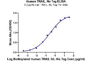 ELISA image for Tumor Necrosis Factor (Ligand) Superfamily, Member 10 (TNFSF10) (AA 114-281) protein (ABIN7275774)