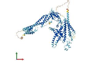 AlphaFold protein structure predicition of Human Recombinant ATP6V0A1 Protein, UniprotID Q93050