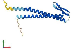 AlphaFold protein structure predicition of Human Recombinant UXT Protein, UniprotID Q9UBK9