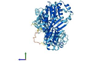 AlphaFold protein structure predicition of Human Recombinant ABCE1 Protein, UniprotID P61221