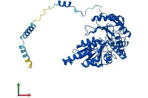 AlphaFold protein structure predicition of Human Recombinant SPTLC1 Protein, UniprotID O15269