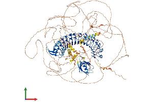 AlphaFold protein structure predicition of Human Recombinant ERBIN Protein, UniprotID Q96RT1