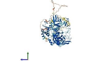 AlphaFold protein structure predicition of Human Recombinant UHRF1 Protein, UniprotID Q96T88