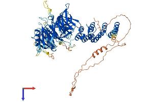 AlphaFold protein structure predicition of Mouse Recombinant Wdpcp Protein, UniprotID Q8C456