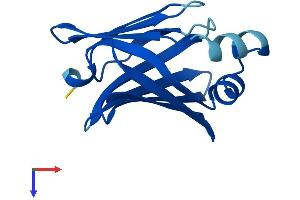AlphaFold protein structure predicition of Mouse Recombinant Fabp12 Protein, UniprotID Q9DAK4