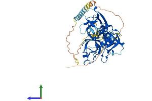 AlphaFold protein structure predicition of Mouse Recombinant Tmprss5 Protein, UniprotID Q9ER04