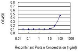 Detection limit for recombinant GST tagged NP is 10 ng/ml as a capture antibody. (PNP anticorps  (AA 1-289))