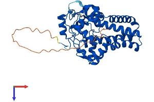 AlphaFold protein structure predicition of Human Recombinant SCD Protein, UniprotID O00767