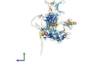 AlphaFold protein structure predicition of Mouse Recombinant Nedd4 Protein, UniprotID P46935