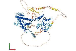 AlphaFold protein structure predicition of Human Recombinant CNGB3 Protein, UniprotID Q9NQW8