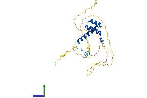 AlphaFold protein structure predicition of Human Recombinant BSX Protein, UniprotID Q3C1V8