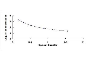 Typical standard curve (NPY Kit ELISA)