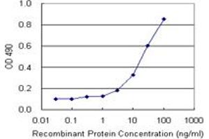 Sandwich ELISA detection sensitivity ranging from 3 ng/mL to 100 ng/mL. (MCM4 (Humain) Matched Antibody Pair)