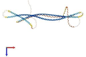 AlphaFold protein structure predicition of Human Recombinant SCARA3 Protein, UniprotID Q6AZY7