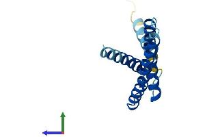 AlphaFold protein structure predicition of Human Recombinant TMEM170B Protein, UniprotID Q5T4T1