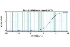 Image no. 1 for anti-Chemokine (C-C Motif) Ligand 5 (CCL5) antibody (Biotin) (ABIN465679)