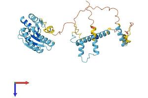 AlphaFold protein structure predicition of Mouse Recombinant Psmd4 Protein, UniprotID O35226