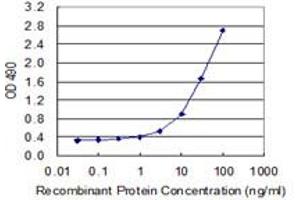 TNFRSF1B (Human) Matched Antibody Pair