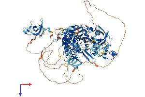 AlphaFold protein structure predicition of Human Recombinant CYLD Protein, UniprotID Q9NQC7