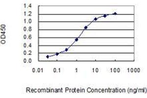Detection limit for recombinant GST tagged OTOP1 is 0. (Otopetrin 1 anticorps  (AA 415-504))