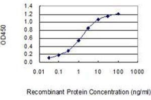 Detection limit for recombinant GST tagged OTOP1 is 0. (Otopetrin 1 anticorps  (AA 415-504))
