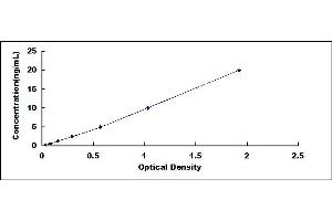 Typical standard curve (AQP3 Kit ELISA)