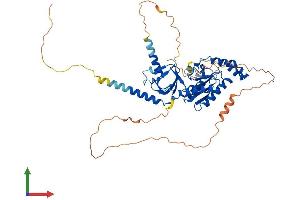 AlphaFold protein structure predicition of Human Recombinant CACNB3 Protein, UniprotID P54284