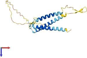 AlphaFold protein structure predicition of Human Recombinant SLC31A1 Protein, UniprotID O15431