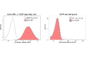 Validation for bovine PD-L1 CHO cells overexpressing bovine PD-L1 fused with EGFP (PD-L1-EGFP) orEGFP were treated with anti-PD-L1 antibody (6C11-3A11, 10 g/mL) or rat IgG2a isotype (10 g/mL) as a negative control for 20 min at R.