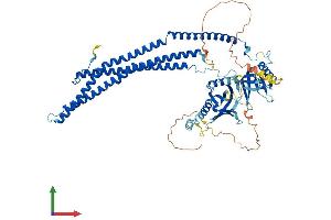 AlphaFold protein structure predicition of Mouse Recombinant Appl2 Protein, UniprotID Q8K3G9