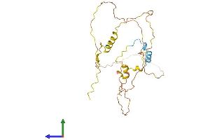 AlphaFold protein structure predicition of Mouse Recombinant Cited2 Protein, UniprotID O35740
