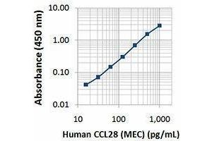 ELISA image for anti-Chemokine (C-C Motif) Ligand 28 (CCL28) antibody (Biotin) (ABIN2664097) (CCL28 anticorps  (Biotin))