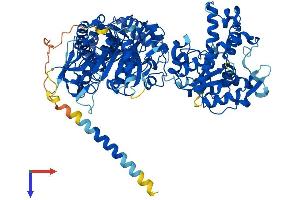 AlphaFold protein structure predicition of Mouse Recombinant Ndst4 Protein, UniprotID Q9EQW8