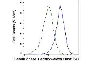 Validation of Casein kinase 1 epsilon knockdown using flow cytometry. (CK1 epsilon anticorps)