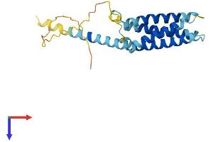 AlphaFold protein structure predicition of Mouse Recombinant Cmtm4 Protein, UniprotID Q8CJ61