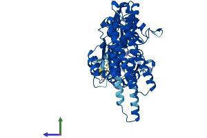 AlphaFold protein structure predicition of Mouse Recombinant Ftcd Protein, UniprotID Q91XD4