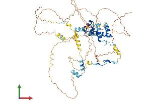 AlphaFold protein structure predicition of Mouse Recombinant Mier3 Protein, UniprotID Q3UHF3