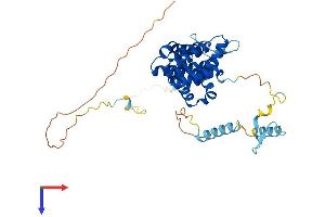 AlphaFold protein structure predicition of Mouse Recombinant Paip1 Protein, UniprotID Q8VE62