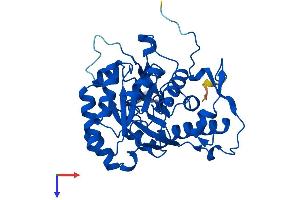 AlphaFold protein structure predicition of Human Recombinant GMPR2 Protein, UniprotID Q9P2T1